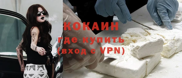 тгк Бородино
