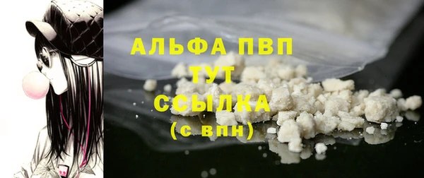 тгк Бородино