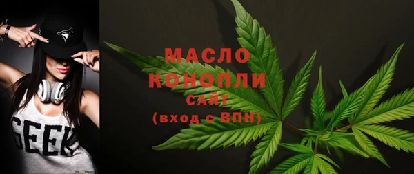 тгк Бородино