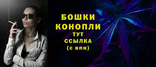 spice Бронницы