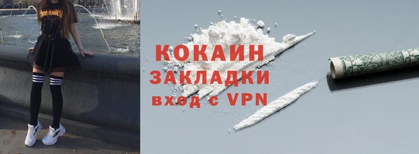 тгк Бородино