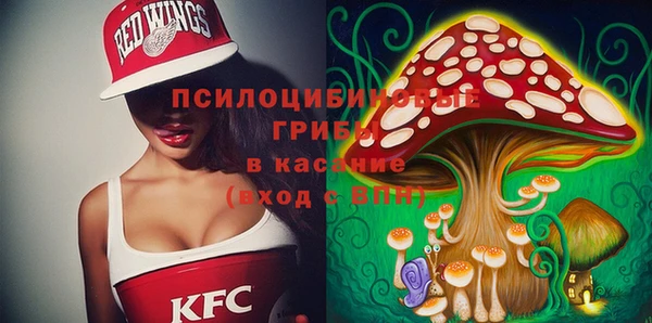 тгк Бородино