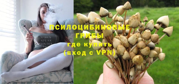 дживик Бугульма