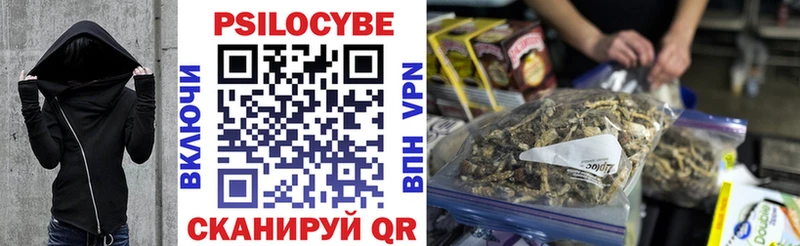 где можно купить   KRAKEN ONION  Галлюциногенные грибы MAGIC MUSHROOMS  Можайск 